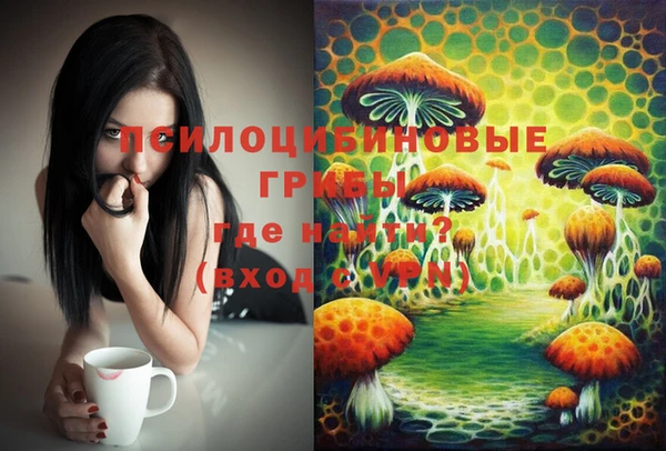 МДПВ Балахна